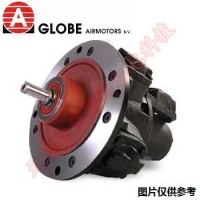 GLOBE VA2 J&X VA2JXXX10 叶片式气动马达 Vane air motors